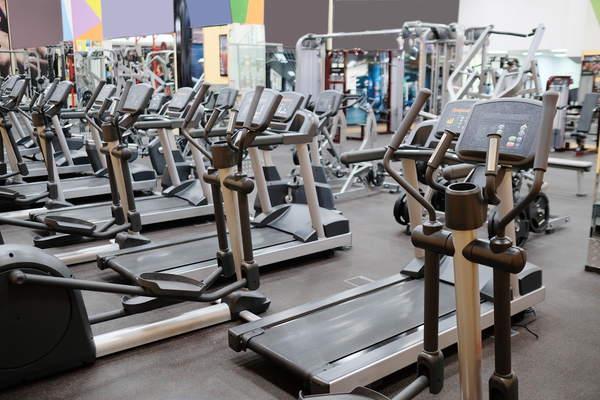 Sporting goods and recreational equipment application